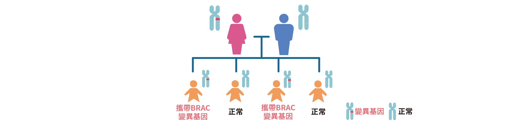 50%變異的BRCA可遺傳到下一代